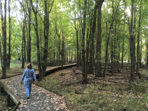 A two-mile all boardwalk loop trail with a few side trips you could take